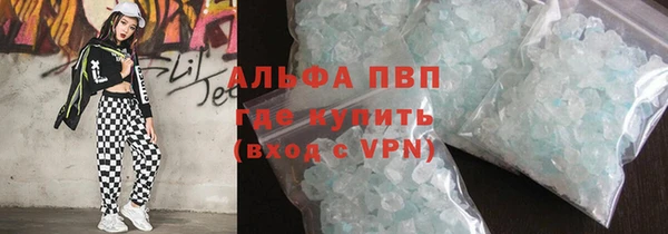 индика Алексин