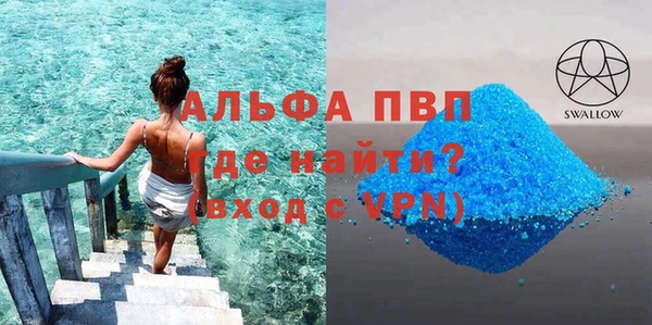 индика Алексин