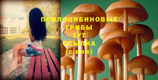 индика Алексин
