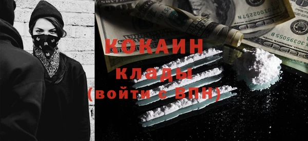 индика Алексин