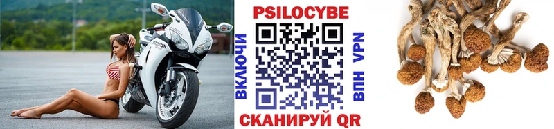 Псилоцибиновые грибы MAGIC MUSHROOMS  мега вход  Цимлянск 